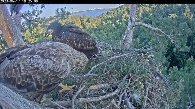 Опять этот ваш ремонт! ????17.06.2023 смотреть онлайн