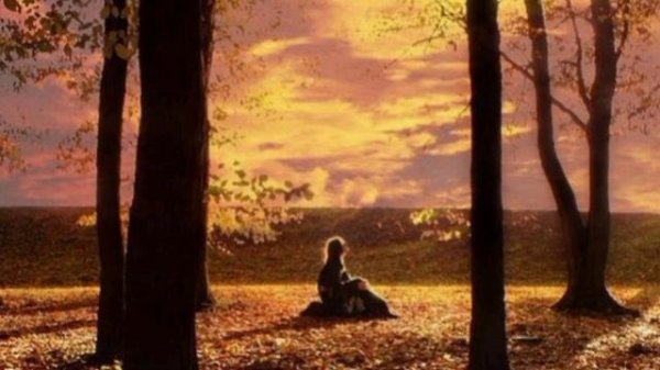 Denis stelmakh ~ Nevermore #denisstelmakh #nevermore #music