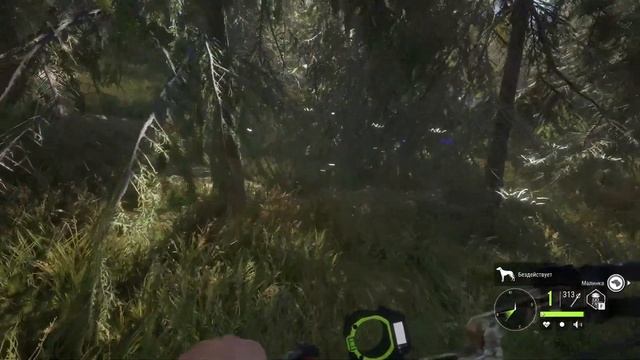 The Hunter COTW - Зубры его боятся - Охота с лука - Прицел с дальномером - 2022