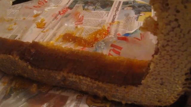 Супер большие соты с мёдом. Эксклюзивный рамочный  сотовый мёд.