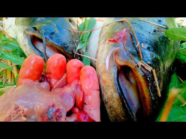 ОН ЕË ОБОЖАЕТ! ШИКАРНАЯ РЫБАЛКА НА СОМА С НОЧËВКОЙ смотреть онлайн