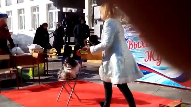 Около школы!? Собак не пускают на территорию школы!!! смотреть онлайн