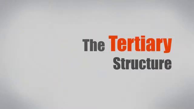 Что такое белок смотреть онлайн