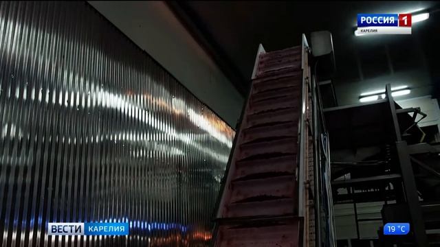 Карельские ягоды в таблетках и порошках смотреть онлайн