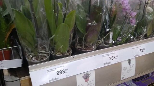 ОБЗОР МАГАЗИНА ЛЕРУА МЕРЛЕН.МИМО НЕ ПОЙДЕШЬ ? смотреть онлайн