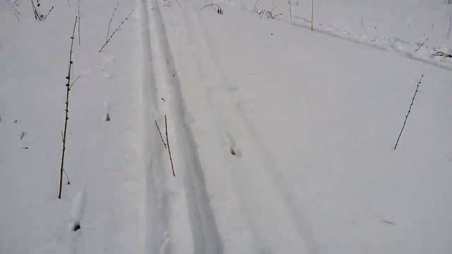 Прогулка на лыжах смотреть онлайн