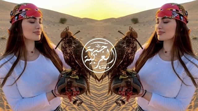 Night In Dubai Arabic Remix Song 2024 Bass Bosted (Subscribe يشترك ?)