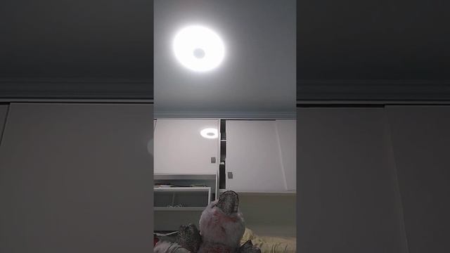 Брат сошёл с ума в халф лайф смотреть онлайн