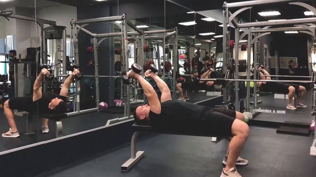 Французский жим с гантелями смотреть онлайн