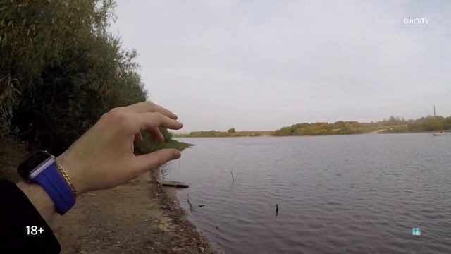 НЕ ПРИЕЗЖАЙ в СТУПИНО и КАШИРУ Пока Не Посмотришь ?? смотреть онлайн