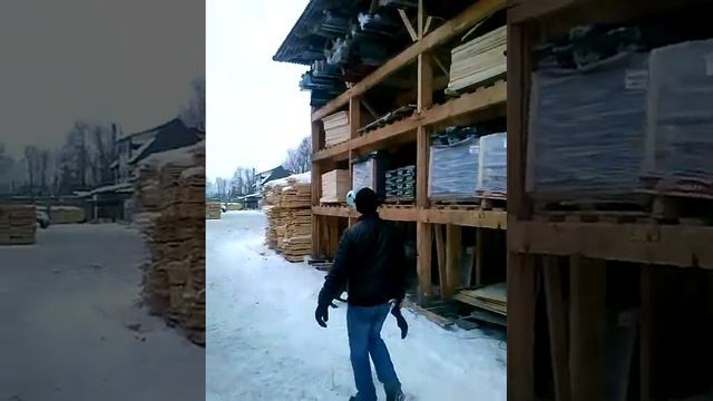 Собака парнас смотреть онлайн