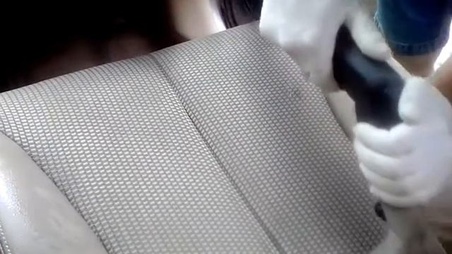 Сидения тканевые химчистка смотреть онлайн