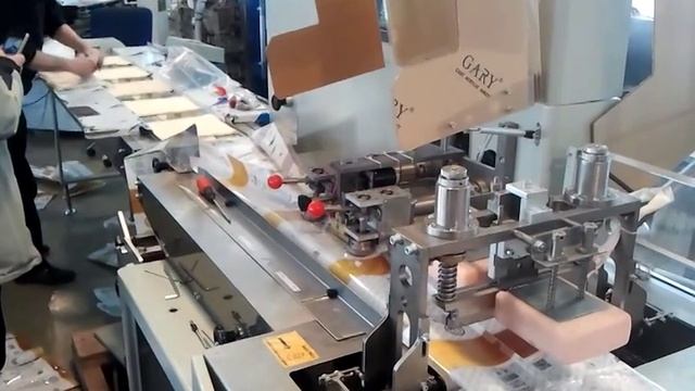 Упаковка лаваша на горизонтальной упаковочной машине ALD-600WX смотреть онлайн