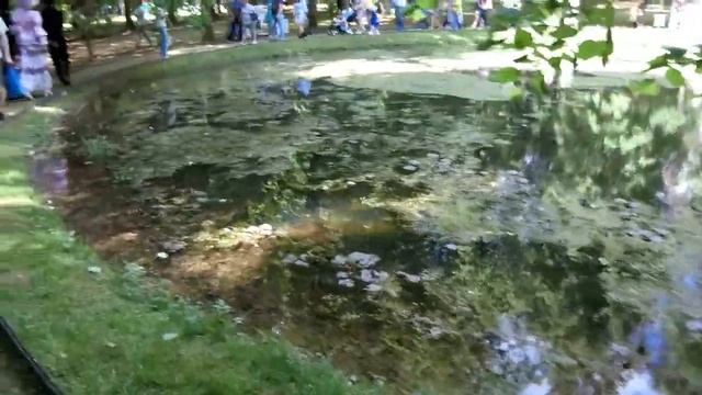 Пушкинский праздник в селе Берново, 2021. Запись #46. смотреть онлайн