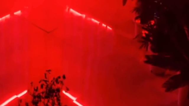 ИСТОРИЯ BLACKPINK | PREDEBUT смотреть онлайн