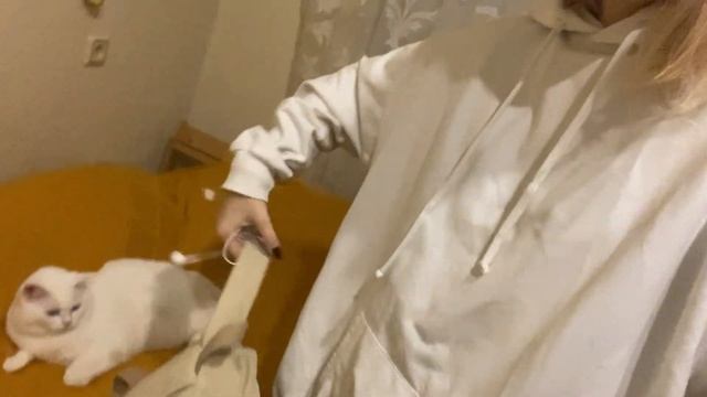 Моменты осени! Учусь, гуляю и переделываю комнату! | Vlog