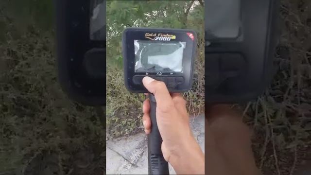 Detctor Gold finder 2000 frequência 61 khz bobina 5 e polegadas. смотреть онлайн