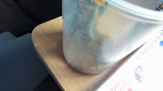 Bearded Dragon Feeding Video: Hornworms / Tomato Worms смотреть онлайн