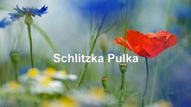 Schlitzka Pulka, Haynauer Musikanten, Heege, Instrumental (HD 1080p) смотреть онлайн