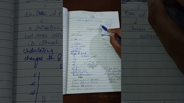 Gastrointestinal track || GIT || Physiology || part#1 смотреть онлайн