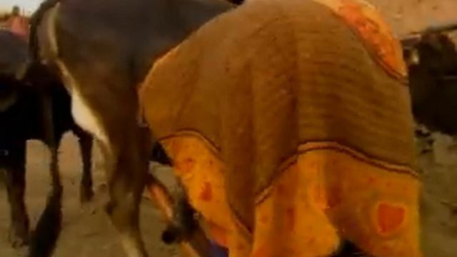 Сафари с КУЗЕЙ смотреть онлайн