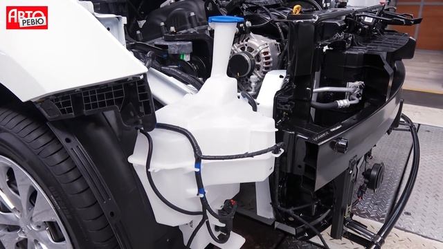 Обновленный Kia Rio 2020. Сколько стоят фары с клыками и что с задирами в цилиндрах? Тест и обзор смотреть онлайн