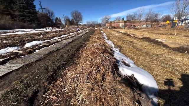 Urban Farming in Denver, Colorado 2022 смотреть онлайн