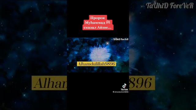 прарок Мухаммад сказал Айше смотреть онлайн