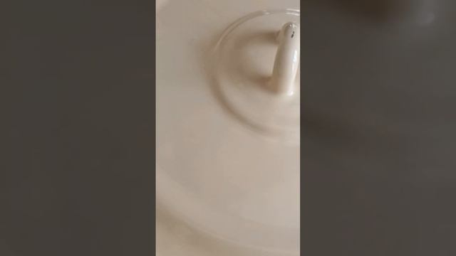 Тыквенный суп пюре!#тыквенныйсуп #shortsyoutube #shortvideo