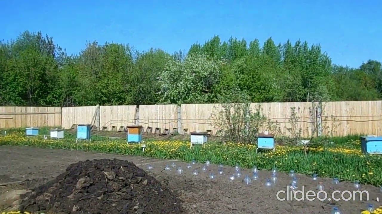 Привой для пчел. смотреть онлайн