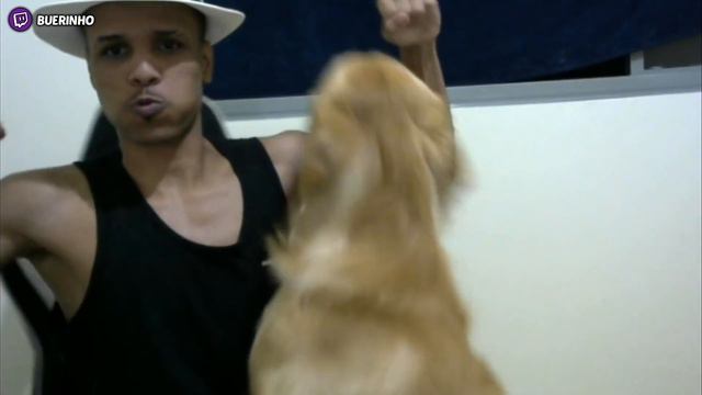 QUANDO O CACHORRO RESOLVE TROLLAR O STREAMER - CLIPS ENGRAÇADOS смотреть онлайн