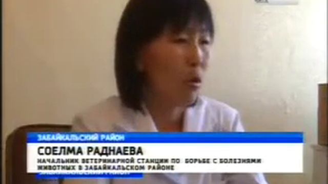 Падёж лошадей смотреть онлайн