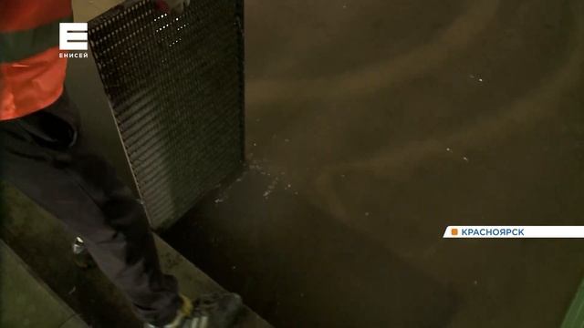 Показываем последствия ночного ливня и штормового ветра в Красноярске смотреть онлайн