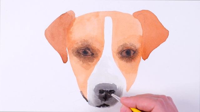 How to draw a Jack Russell Terrier dog.Як намалювати собаку Патрона.Как нарисовать собаку смотреть онлайн