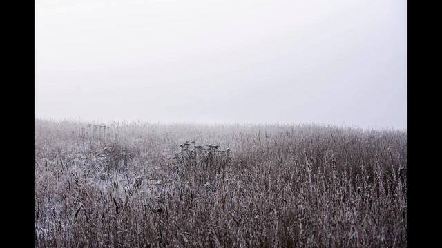 Зимний туман.Рязань,Дягилево. смотреть онлайн