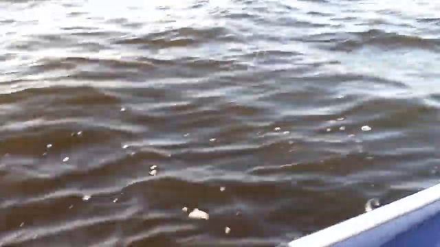 Ловим жереха Юрьевец сентябрь 2014 смотреть онлайн