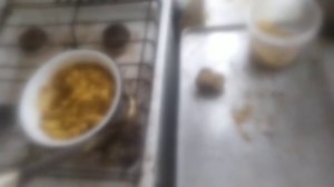 Мазь для привлечения роев в ваши ловушки. Пчеловодство начинающим.