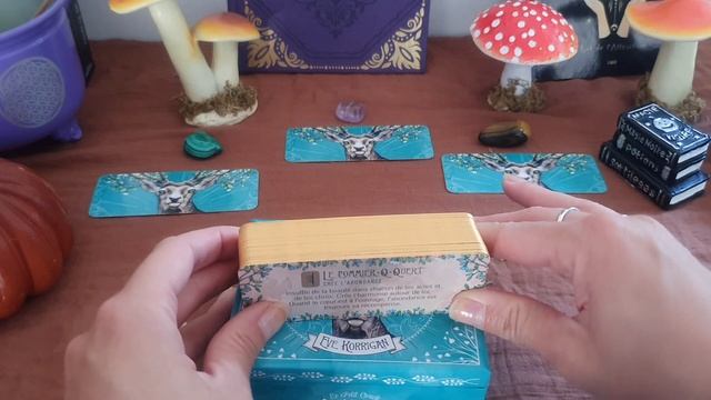 Le petit oracle du druide - Nouveauté смотреть онлайн