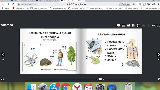 биология 5 вода и воздух смотреть онлайн