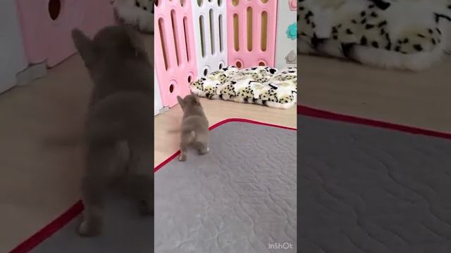 Лиловый мальчик смотреть онлайн