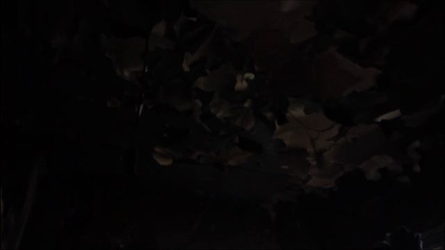 Одинокая Бабушка Выживает в Старом Доме | 18+ смотреть онлайн