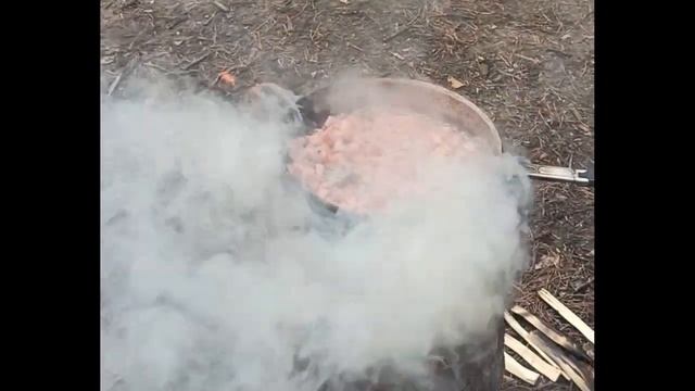 Большая Кривовка .Когда всё пошло не по плану .mp4