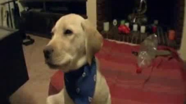 Утро понедельника смотреть онлайн