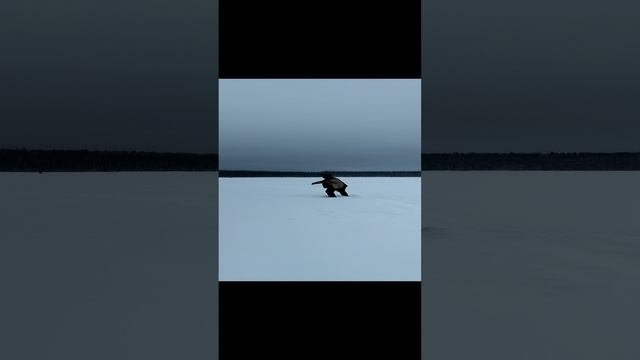 зимняя рыбалка 3