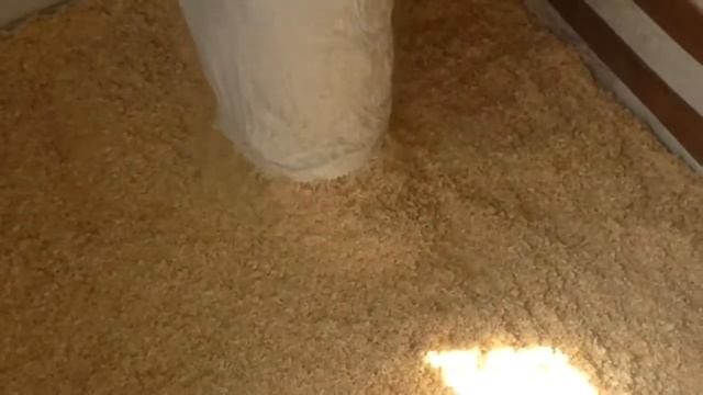 Бройлеры "Хаббард". Как сделать глубокую подстилку. Переселяем в 2 - х недельном возрасте. смотреть онлайн