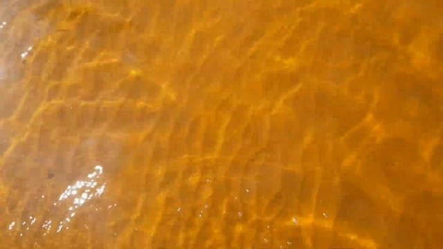 VLOG: Отдых В КАВГОЛОВО / У Нас ЖАРКО / КАВГОЛОВСКОЕ ОЗЕРО смотреть онлайн