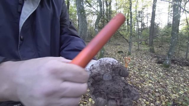 НАКОПАЛ за ДВА ЧАСА СЕРЕБРА!!! Не ВЕРЮ!!! Не ВЕРИШЬ??? Тогда СМОТРИ! смотреть онлайн