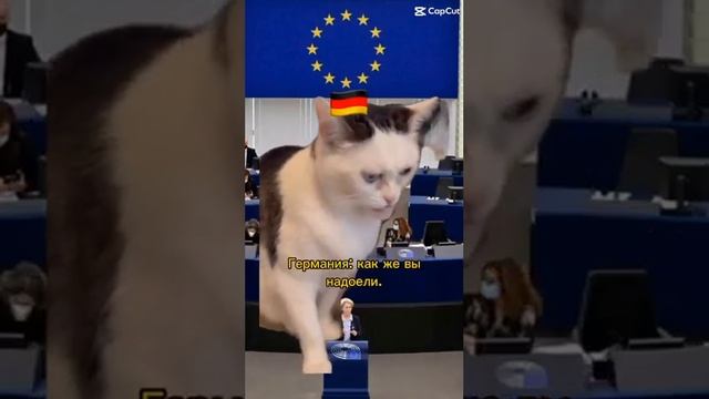 Любое заседание ЕC смотреть онлайн