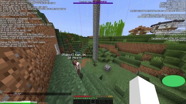Minecraft Java 12 29 2021 19 58 35 410 - TP killer evidence смотреть онлайн