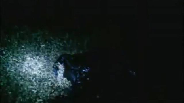 работа на зерноотходах и гущи xvid смотреть онлайн